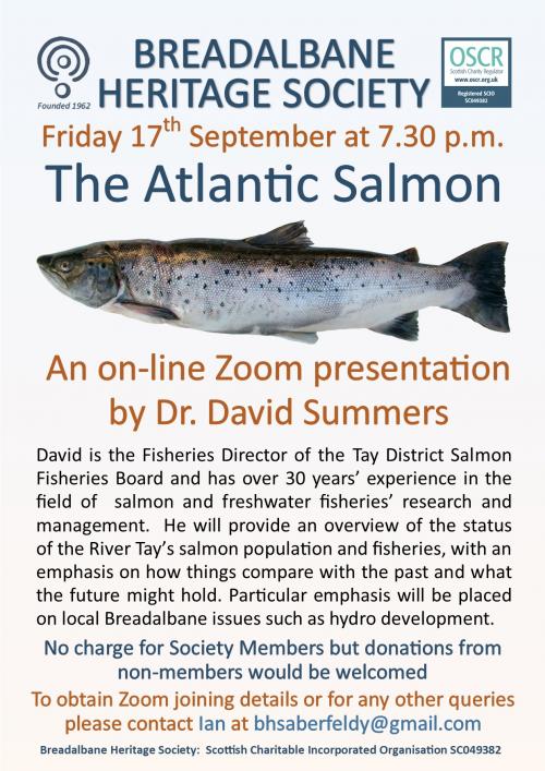 The Atlantic Salmon