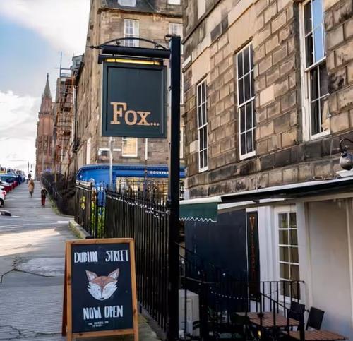Dublin Street Fox